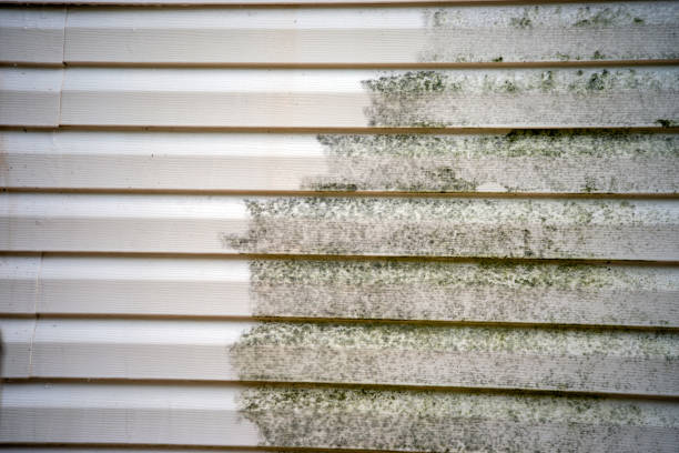 Wellington, OH Junk Removal Pros
