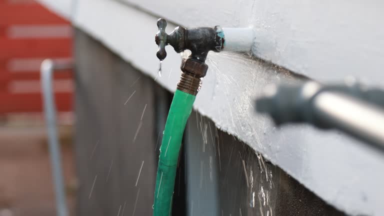 Best Property Management Cleanouts  in Wellington, OH